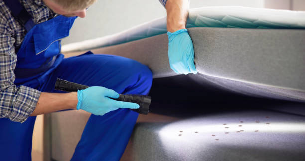 Best Mosquito Control Services  in St Ann, MO